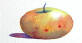 watercolour apple