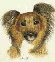 Buster