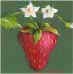 tole strawberry