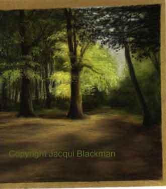 beechwood, pastel on pastel card