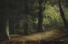 beech wood in pastel