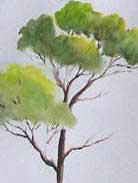 tree brush painted with ink