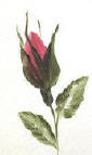 simple painting of a pink rose bud