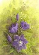 purple clematis painted wet on wet with oil paint