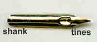 shank and tines of a dip pen nib