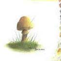 first mushroom with colored pencils